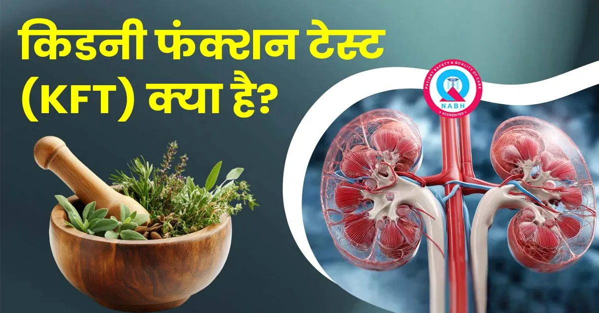 किडनी-फंक्शन-टेस्ट-KFT-क्या-है